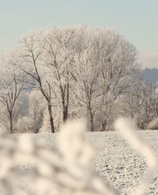Skisaison an Weihnachten in Teilen Deutschlands