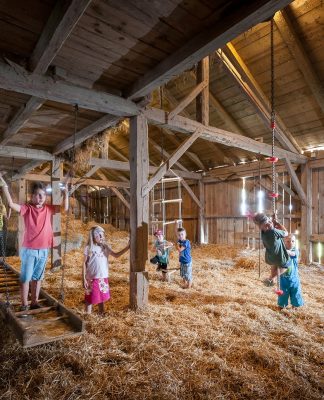 Das ist Deutschlands Beliebtester Ferienhof 2022!