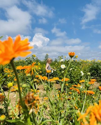 Foto des Tages: „Vorfreude auf den Frühling“ Von Sarah Canenbley
