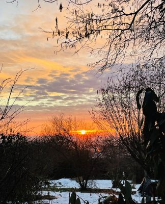 Sonnenaufgang im Januar – Foto des Tages von Sarah Canenbley