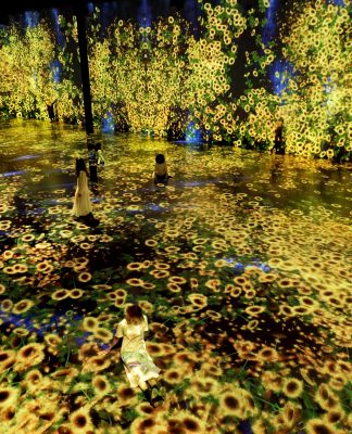 Greater Miami and the Beaches: Neues Jahr – neue Highlights!