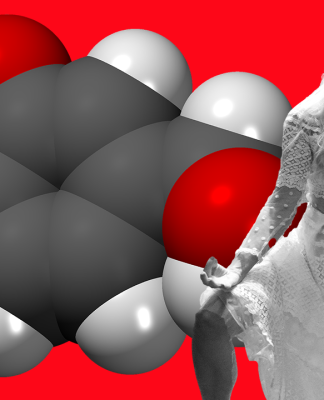 Hormon-Balance fürs neue Jahr mit Jane Uhlig Fit Seven Eleven – Meditation