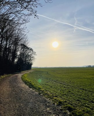 Foto des Tages: Flashback zum Sonntag