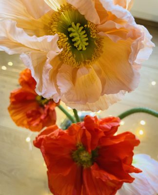 Foto des Tages: Orientalischer Mohn