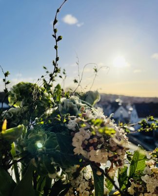 Foto des Tages: Sonnenmoment nach dem Sturm