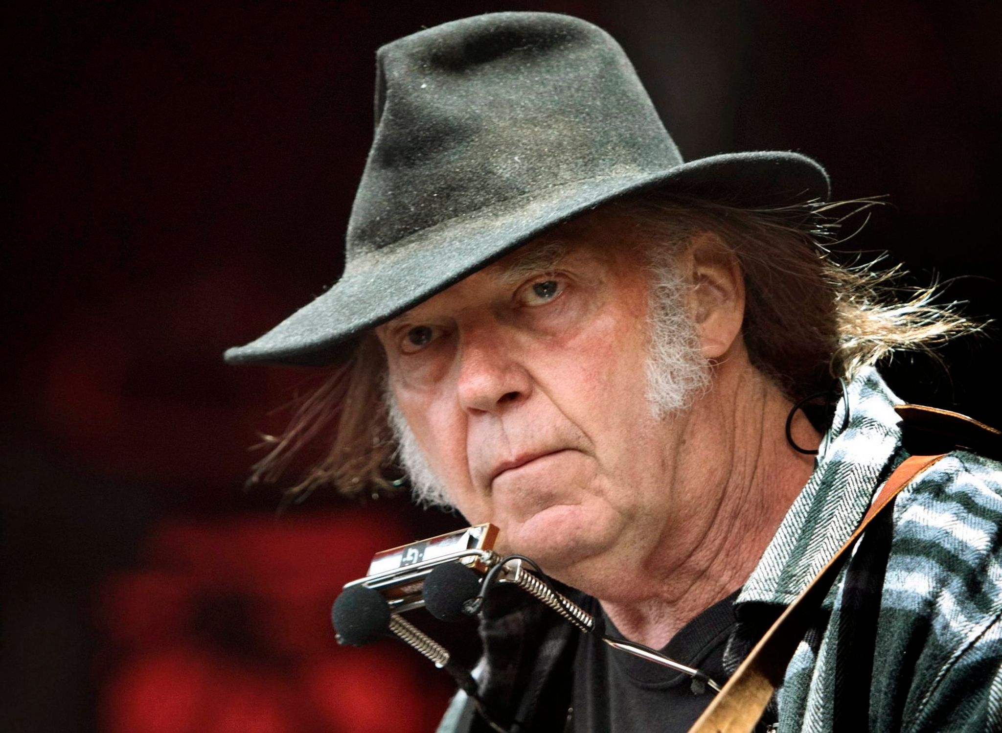 Musiker Neil Young