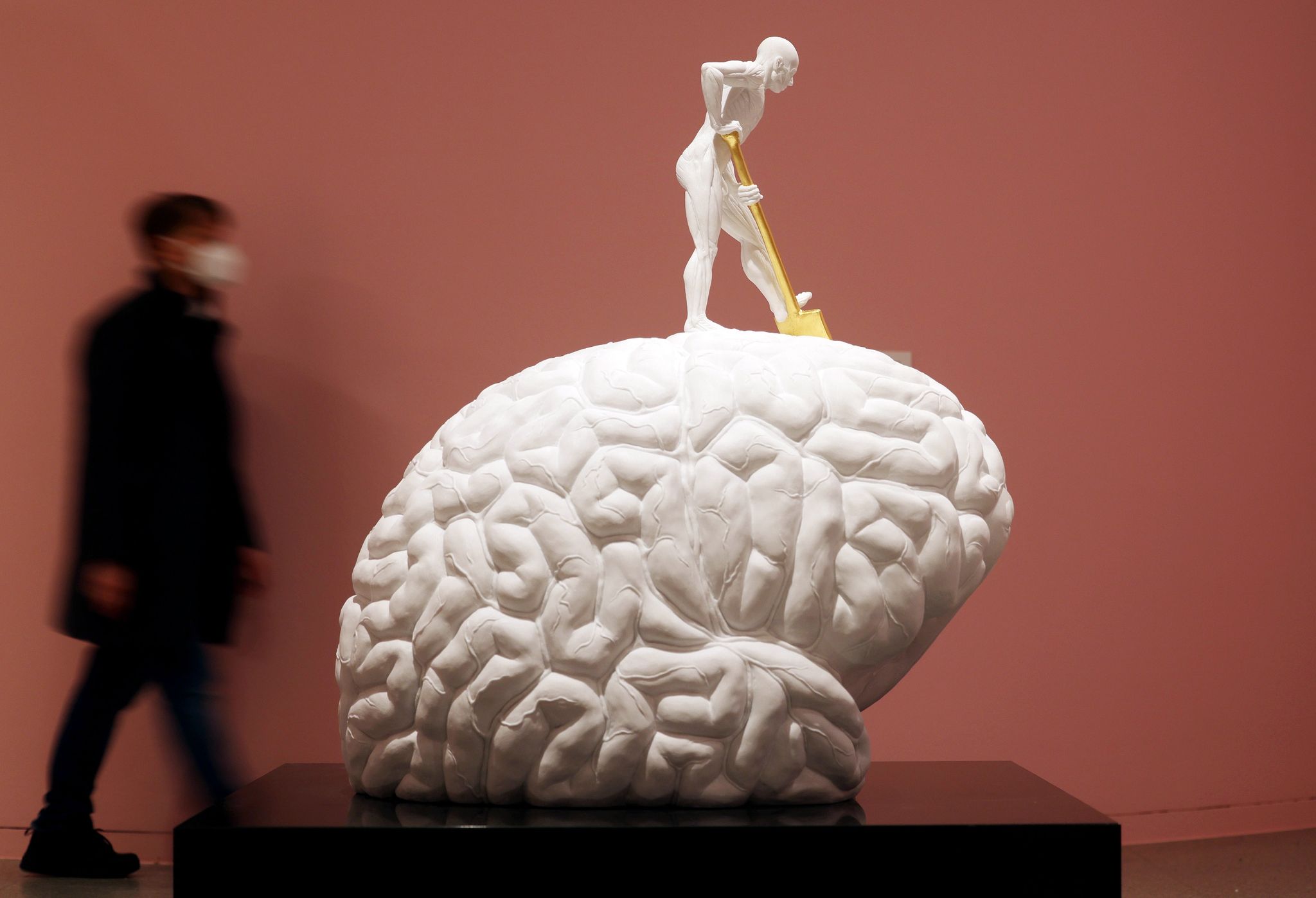 Ausstellung „Das Gehirn. In Kunst & Wissenschaft“