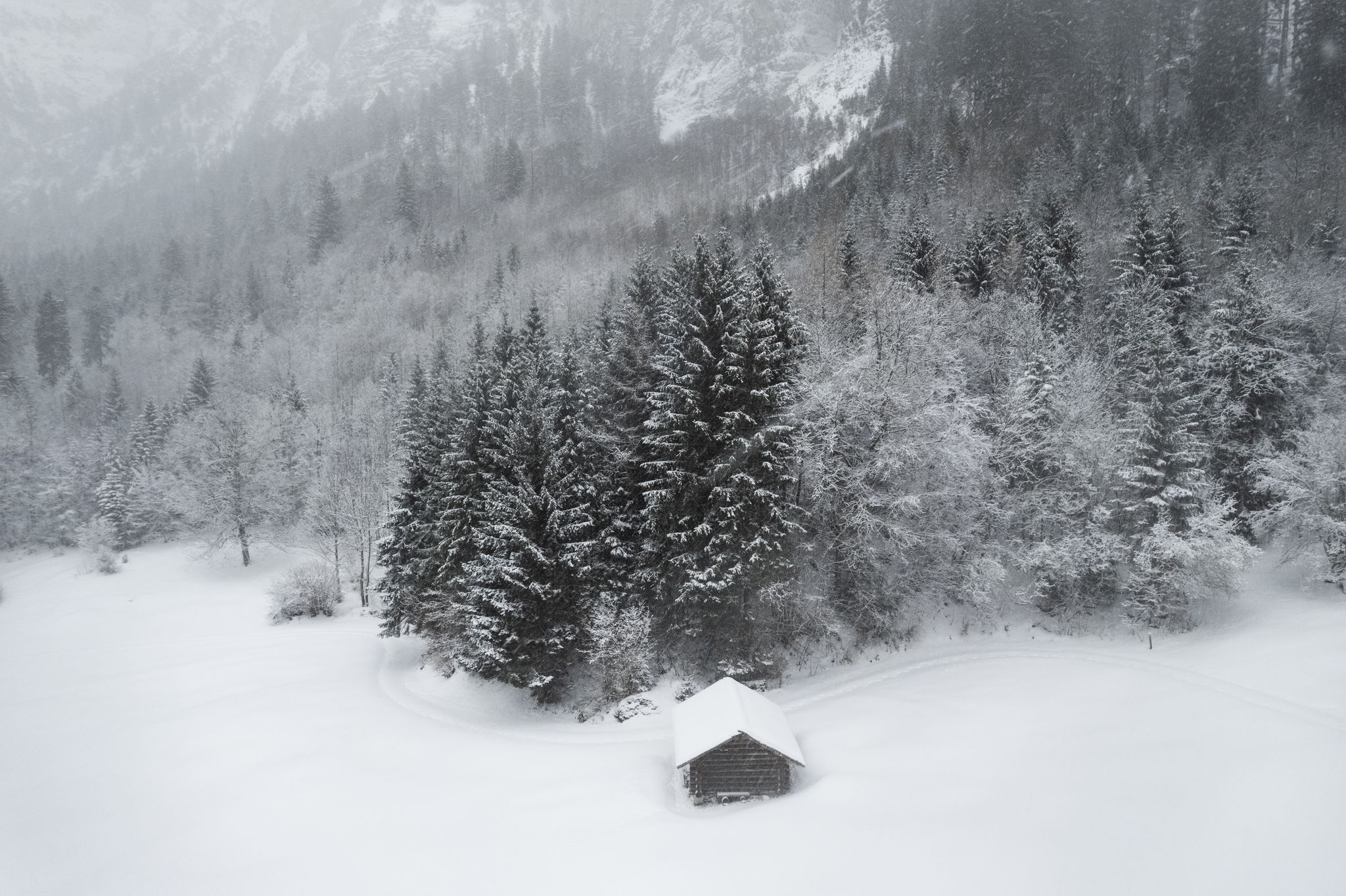 Schneesegen