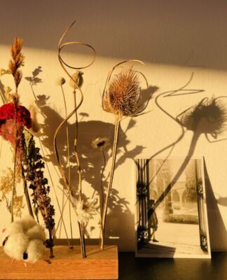 Foto des Tages: Trockenblumen