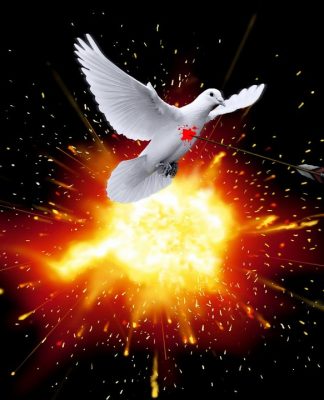 Es ist mir egal, welches Land wem gehört, Hauptsache wir leben demokratisch und in Frieden