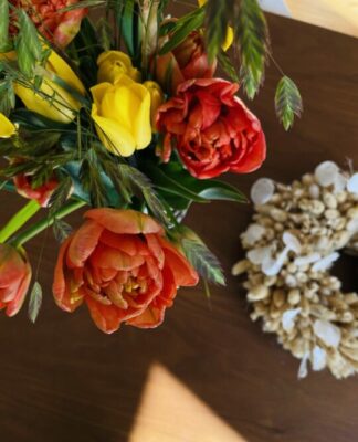 Foto des Tages: Osterblumen Tulpenpracht