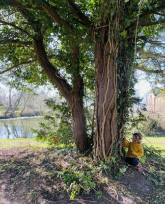 Foto des Tages: Auf Entdeckungsreise im Schlosspark Schönhagen unter uralten Bäumen