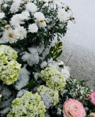 Foto des Tages: Der Winter in Hessen ist zurück