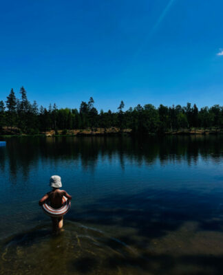 Foto des Tages: Sommer am See im Harz