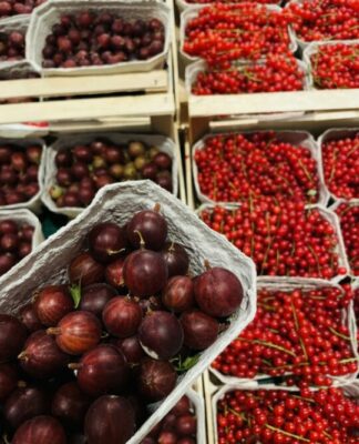 Foto des Tages: Sommerfrüchte 3.0