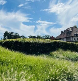 Außergewöhnliche Erholung beim 5* Waldbaden in den Limburger Wäldern