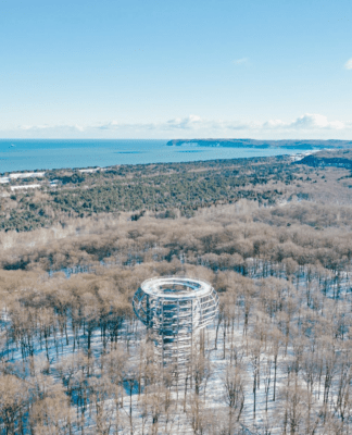 Winterzauber zwischen den Baumwipfeln
