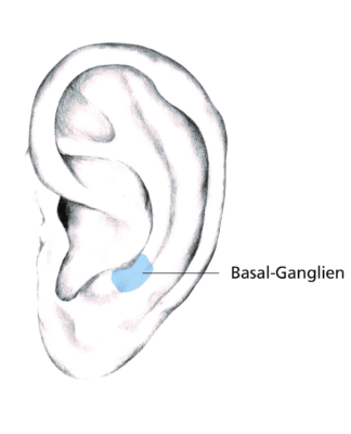 Welt-Alzheimertag: Implantat-Akupunktur bei Demenz