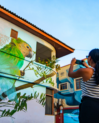 Fünf Ausflugstipps für Aruba