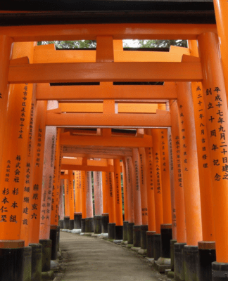 Mehr Lebensfreude mit ikigai