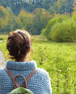 Zecken liegen auch im Herbst auf der Lauer