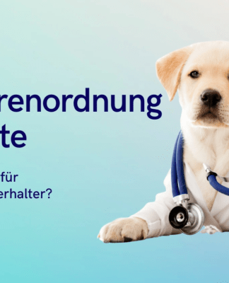 Die neue Gebührenordnung für den Fortbestand von Tierarztpraxen