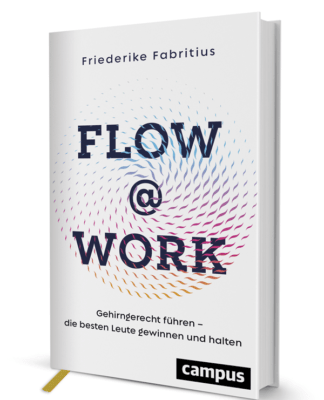 Flow@Work – Gehirngerecht führen und die besten Leute gewinnen und halten