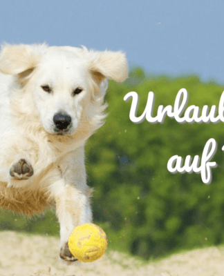 Traumhafter Herbst Urlaub mit Hund auf Usedom