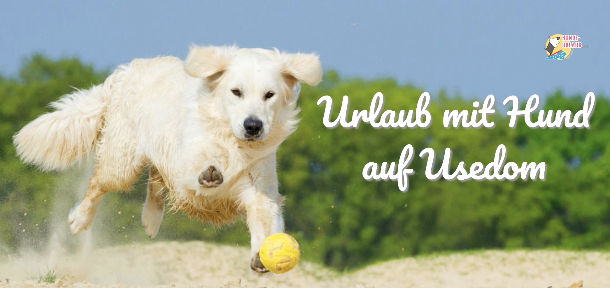 Traumhafter Herbst Urlaub mit Hund auf Usedom Traumhafter Herbst Urlaub mit Hund auf Usedom