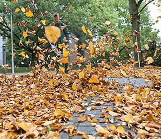 Herbst: Wer muss Bürgersteig vom Laub freimachen?