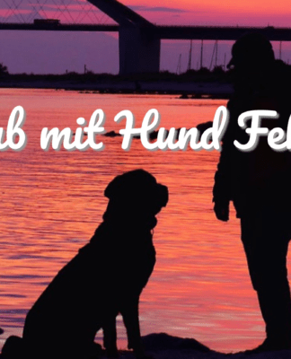 Urlaub mit Hund auf Fehmarn