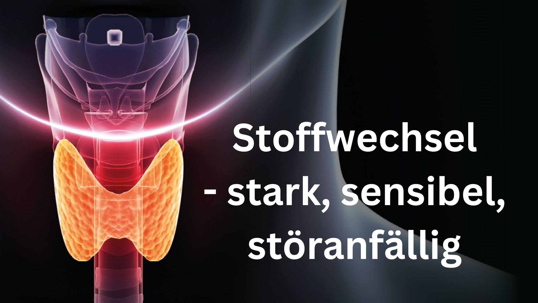 Stoffwechsel – stark, sensibel, störanfällig Stoffwechsel – stark, sensibel, störanfällig