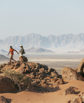 WILDERNESS PRÄSENTIERT NEUE MARKE UND WEBSITE