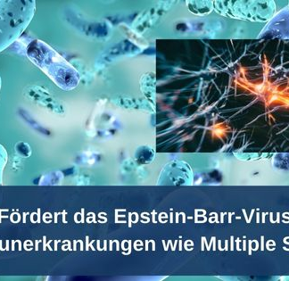 Fördert das Epstein-Barr-Virus Autoimmunerkrankungen wie Multiple Sklerose?