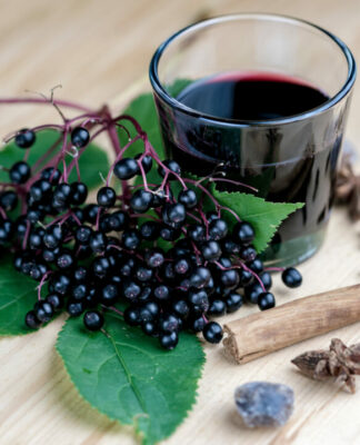 Wie Holunder Erkältungen vorbeugen kann