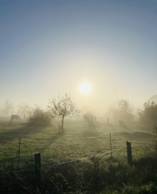 Foto des Tages: Romantischer Dezember Morgen