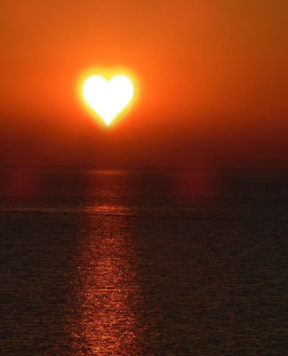 Wie kommt Vitamin D3 in die (Schul-) Milch?