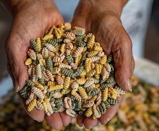Dorffeste präsentieren das „andere“ Sardinien