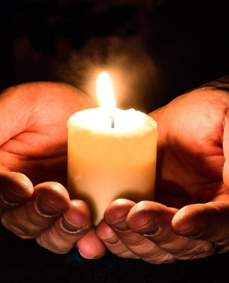 Giving-Domain: Landrush Period beginnt am 20. Dezember