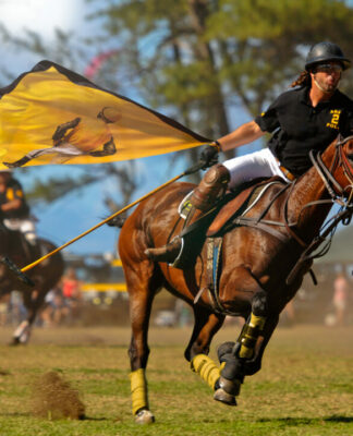 Tie Solution startet enorme Expansion in Europa