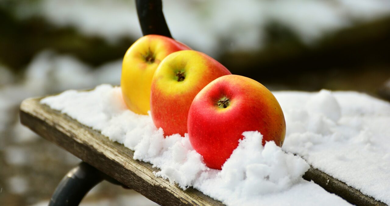 Winter: Warum du jetzt Äpfel essen solltest Warum jetzt Winteräpfel so gesund sind Bildrechte: pixabay