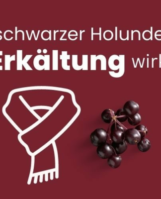 Wie Holunder bei Erkältung und Grippe wirkt