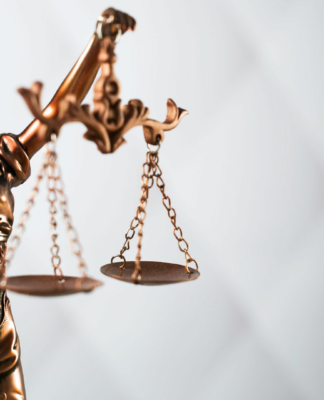 Esther Omlin: Die Ansprechpartnerin für Sicherheitsrecht und Strafrecht