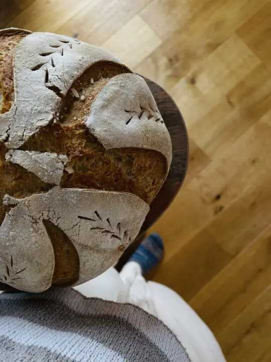 Foto des Tages: Homemade schmeckt am Besten - frisches Sauerteigbrot 1 7B9419B3 7457 49C5 8FCB 521E382C05B2 Janes Magazin
