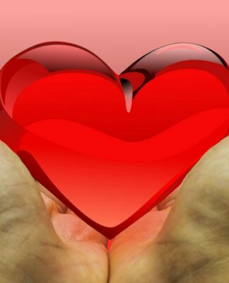 Getränke Start-Up „THE FRED“ aus Berlin spendet Getränke im Wert von 2 Mio. Euro in die Ukraine!