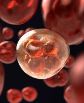 Weltkrebstag 2023: Unabhängig, unbürokratisch, unmittelbar – Krebs-Selbsthilfe unterstützt an Krebs Erkrankte und gibt neuen Lebensmut