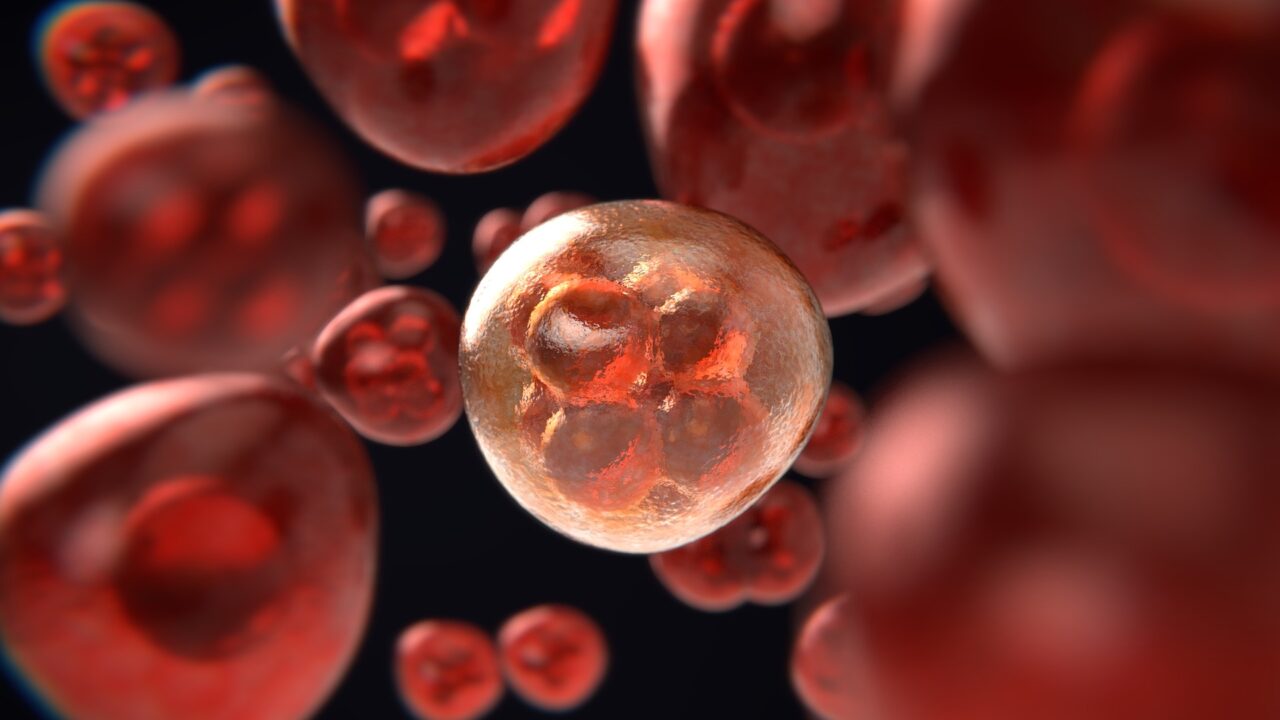 Weltkrebstag 2023: Unabhängig, unbürokratisch, unmittelbar – Krebs-Selbsthilfe unterstützt an Krebs Erkrankte und gibt neuen Lebensmut Weltkrebstag (Bild von Colin Behrens auf Pixabay)