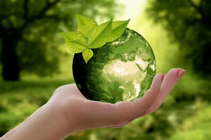 Nachhaltigkeitspreis (Bild von annca auf Pixabay)