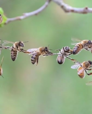 Kommunikation verbindet, stärkt die Zusammenarbeit
