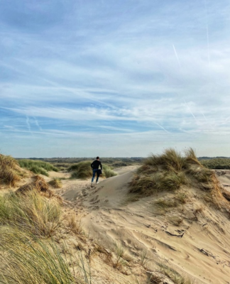 Strandreservat Noordvoort: Einzigartiges Ruhegebiet ans Zandvoorts Küste